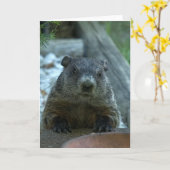 Groundhog Day! Kaart (Gele Bloem)
