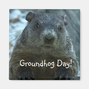 Groundhog Day! Magneet