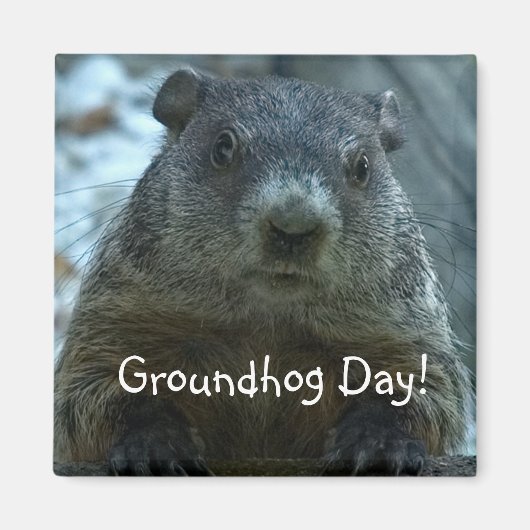 Groundhog Day! Magneet (Voorkant)