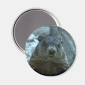 Groundhog Day! Magneet (Voorkant / Achterkant)