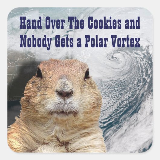 Groundhog Day Polar Vortex Vierkante Sticker (Voorkant)
