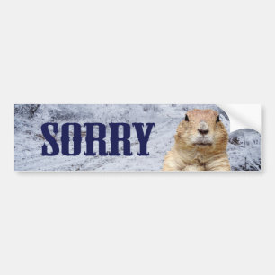 Groundhog Day Sorry Bumpersticker