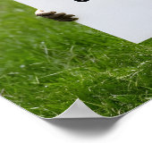 Groundhog Day Thema: Schattigee Groundhog Poster (Hoek)