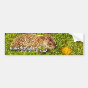 Groundhog Day tiendagen voor jou! Bumpersticker