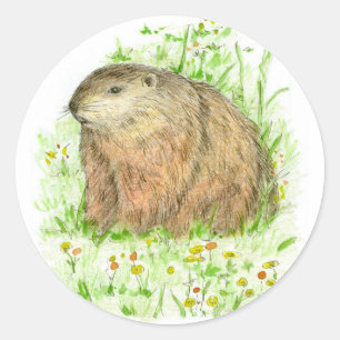 Groundhog Day Woodchuck knaagdier Ronde Sticker