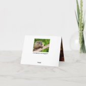 Groundhog Humor Birthday Cake Card Bedankkaart (Achterkant)