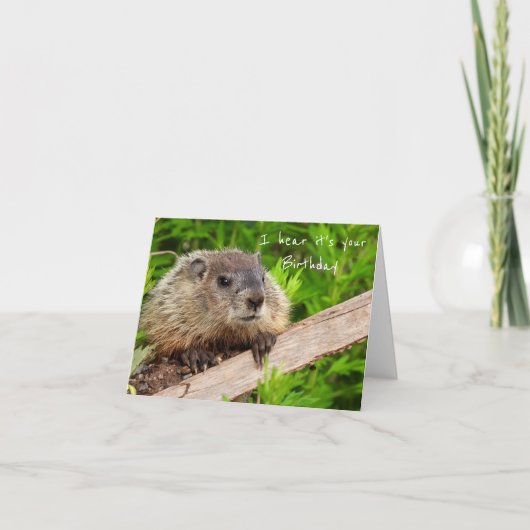 Groundhog Humor Birthday Cake Card Bedankkaart (Voorkant)