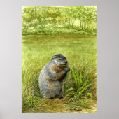 Groundhog in het gras poster (Voorkant)