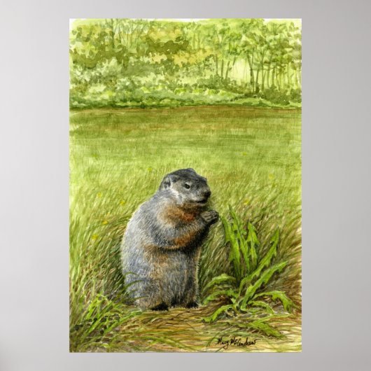 Groundhog in het gras poster (Voorkant)