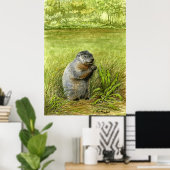 Groundhog in het gras poster (Thuiskantoor)