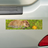 Groundhog Jour vous annonce! autocollant pare-choc (En voiture)