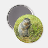 Groundhog Magnet Magneet (Voorkant / Achterkant)