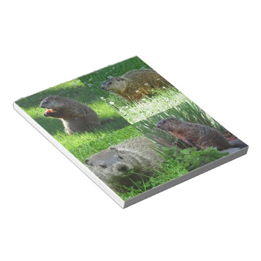 Groundhog Medley Notitieblok (Schuin)