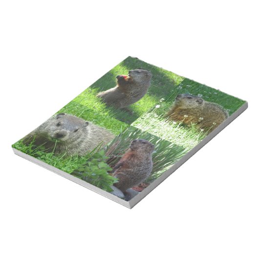 Groundhog Medley Notitieblok (Gedraaid)