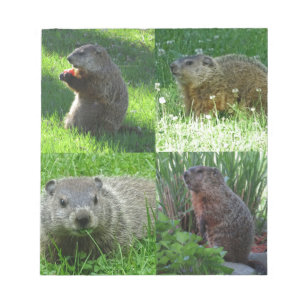 Groundhog Medley Notitieblok