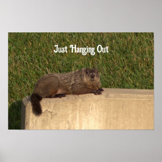 Groundhog op een Wall Poster (Voorkant)