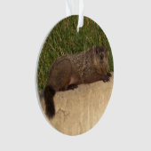 Groundhog Ornament (voorkant)