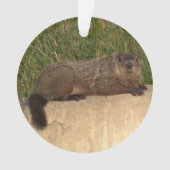 Groundhog Ornament (voorkant)