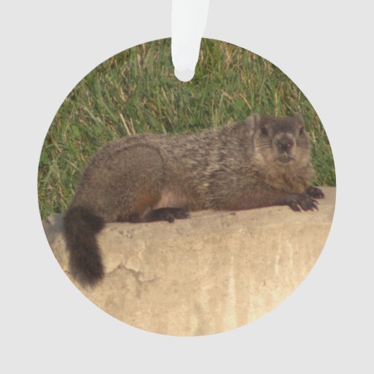 Groundhog Ornament (voorkant)