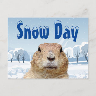 Groundhog Snow Day Briefkaart