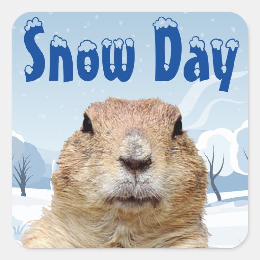 Groundhog Snow Day Vierkante Sticker (Voorkant)