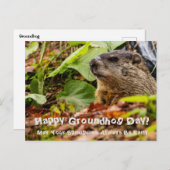 Groundhog Springtime Briefkaart (Voorkant / Achterkant)