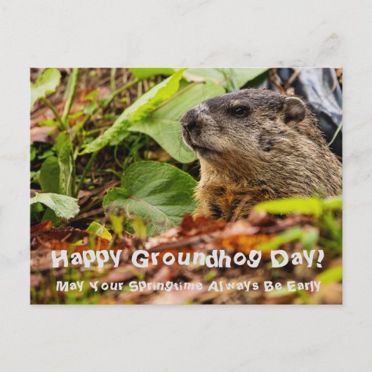 Groundhog Springtime Briefkaart (Voorkant)