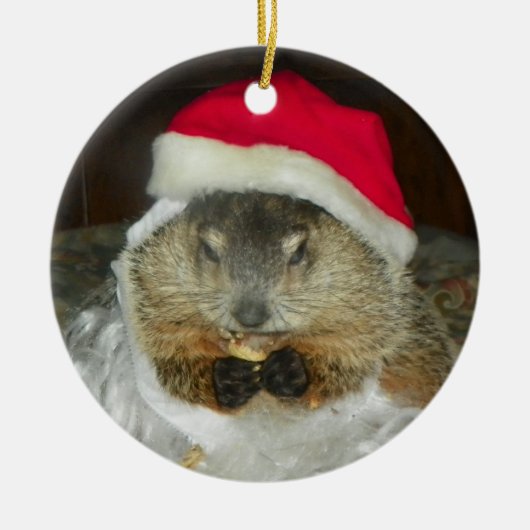 Groundhog/Woodchuck Clara Ornament (Voorkant)