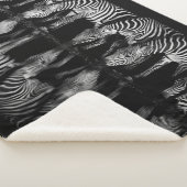 Group of Plains Zebra Drink Together at Night Sherpa Deken (3/4)