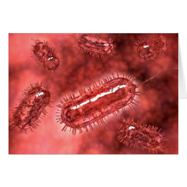 Groupe De Cellules Bactéries Escherichia Coli 2 (Devant horizontal)