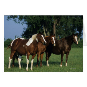 Groupe de Chevaux de Peinture debout