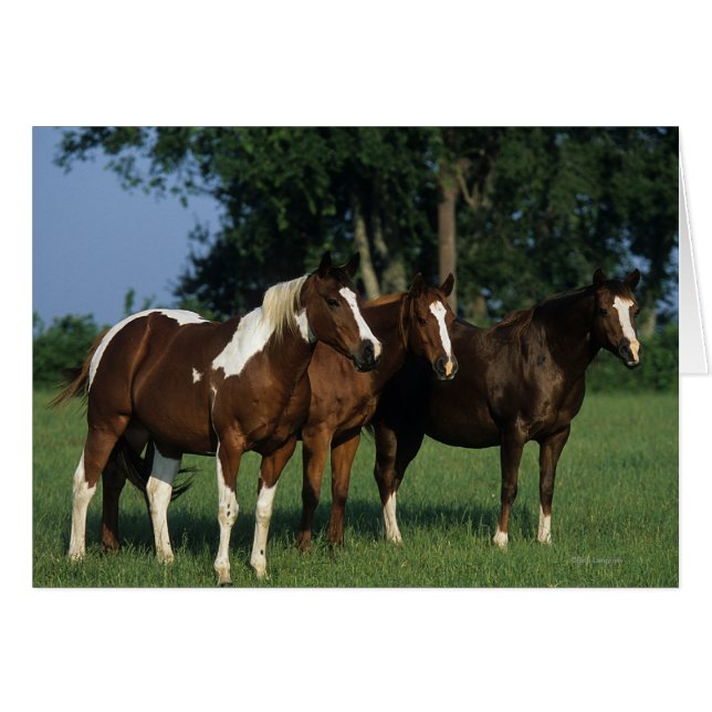 Groupe de Chevaux de Peinture debout (Devant horizontal)
