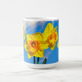 Groupe de Daffodils Médaille d'or Fleurs de Mug (Centre)