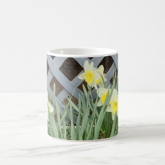 Groupe de Daffodils Mug (Centre)