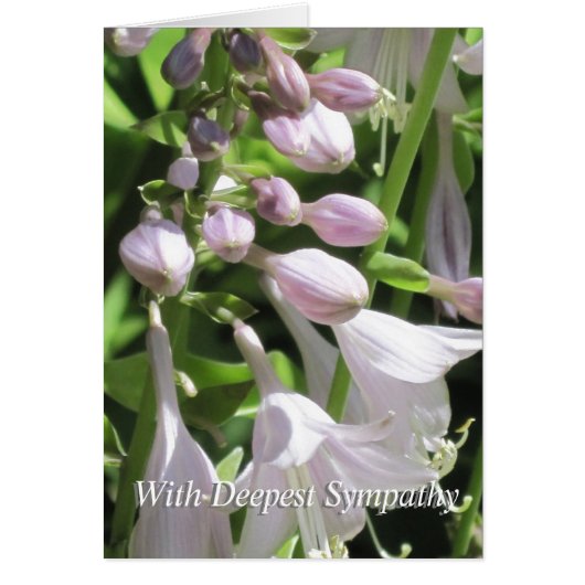 Groupe de Modèles pacifiques condense la carte de (Devant)