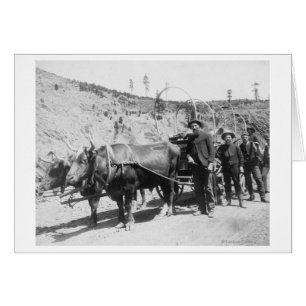 Groupe de prospecteurs d'or Photographie