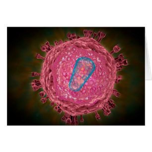 Groupe De Virus Du VIH 2