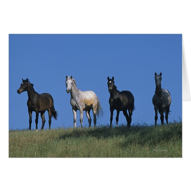 Groupe des Arabes (Devant horizontal)