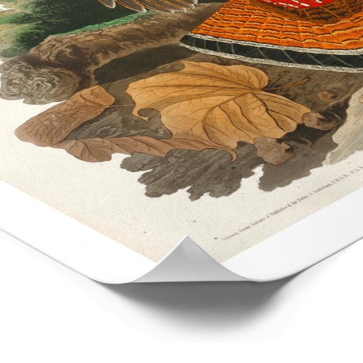 Groupement rouillé par Audubon Poster (Coin)