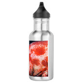 Grouper en Cleaner Garnalen Waterfles (Rechts)