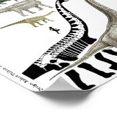 Groupes de dinosaures Échelle Poster Graphique Gre (Coin)