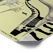 Groupes de dinosaures Échelle Poster Graphique Gre (Coin)