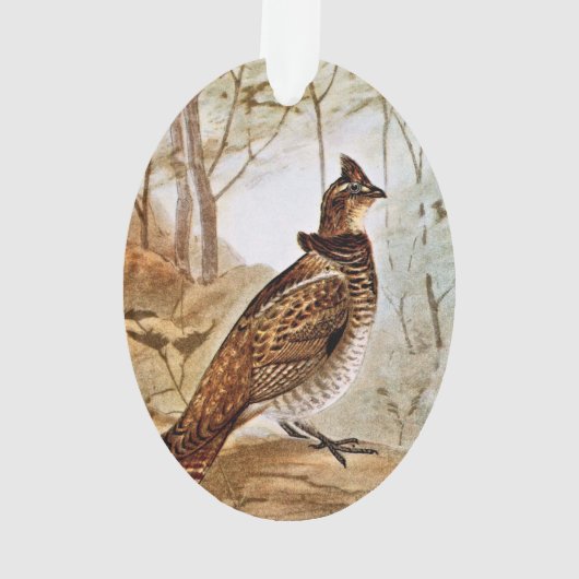Grouse de Ruffed (dos)