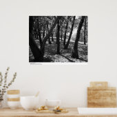 Grove at Hopland Station, 1966 Poster (Keuken)