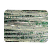 Grove du Colorado Aspen Trees - Magnet (Horizontal)