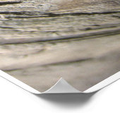 Grove of the Patriarchs Poster (Hoek)