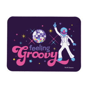 Grover Feeling Groovy Magneet
