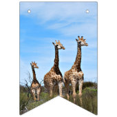 Growing Tall Safari Banner (Tweede vlag)