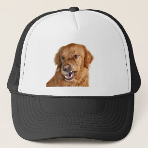 Growling Golden Retriever pet