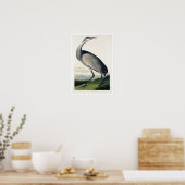 Grue à capuchon par Audubon Poster (Cuisine)